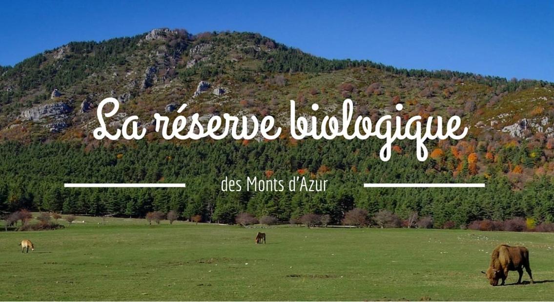Montagne, Mer Et Verdon Seranon Exterior photo